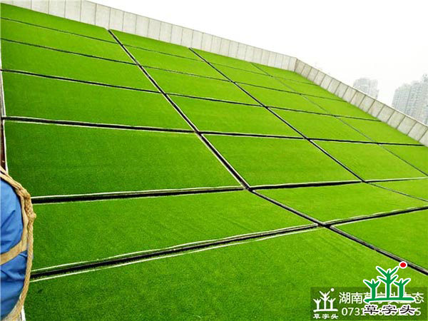 湘潭市博物館與規(guī)劃館，屋頂人造草皮綠化施工案例